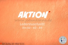 AKTION Lederzuschnitt Kupfer Metallic