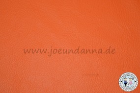 Lederzuschnitt Orange